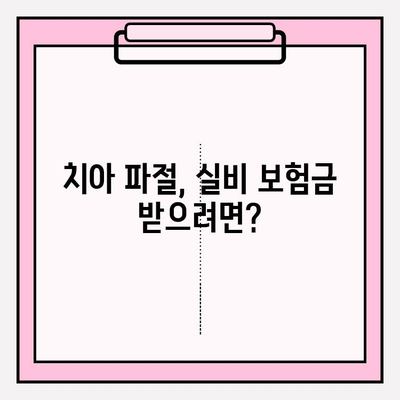 치아 파절 실비 보험금 청구, 꼭 알아야 할 주의 사항 | 보험금 지급 기준, 증빙 서류, 유의 사항