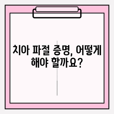 치아 파절 실비 보험금 청구, 꼭 알아야 할 주의 사항 | 보험금 지급 기준, 증빙 서류, 유의 사항