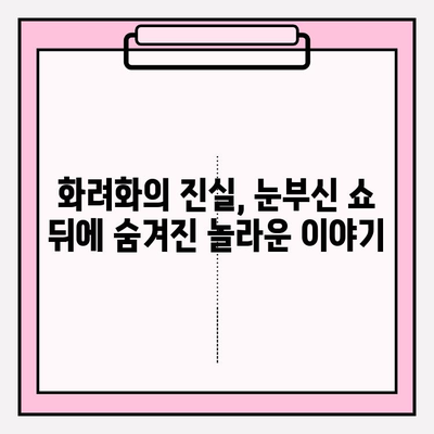 화려화 투데이 쇼 비밀 공개| 화려화의 진실을 밝히는 7가지 비밀 | 화려화, 진실, 비밀, 쇼, 폭로, 흥미