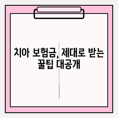 칫솔질만큼 중요해! 똑똑한 Chubb 에이스 치아 보험금 청구 가이드 | 치아보험, 보험금청구, 보험팁, 실속 챙기기