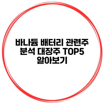 바나듐 배터리 관련주 분석 대장주 TOP5 알아보기
