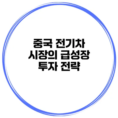 중국 전기차 시장의 급성장 투자 전략