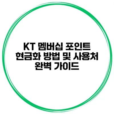 KT 멤버십 포인트 현금화 방법 및 사용처 완벽 가이드