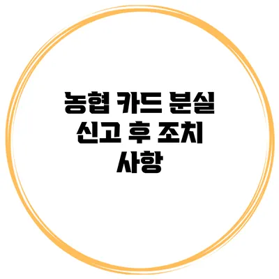 농협 카드 분실 신고 후 조치 사항