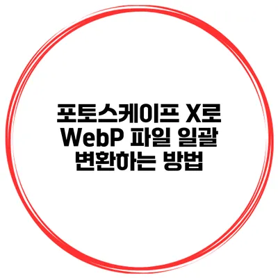포토스케이프 X로 WebP 파일 일괄 변환하는 방법